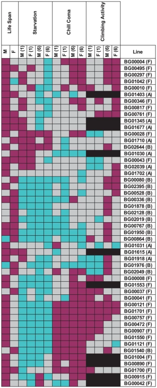 Pleiotropic effects of <i>P</i>–element insert lines associated with increased life span on starvation resistance, chill coma recovery, and climbing activity in males (M) and females (F) at one (1) and six (6) weeks of age.