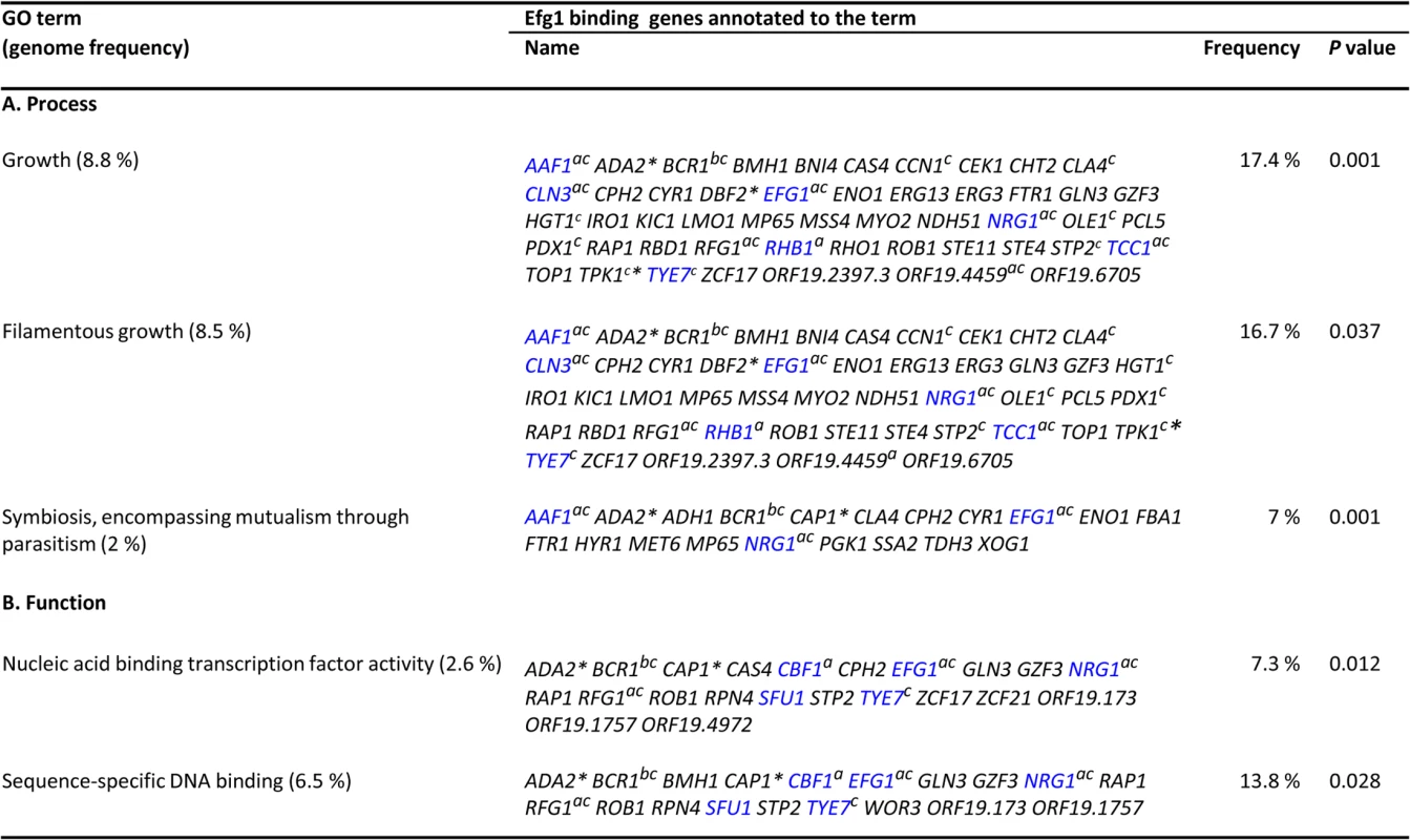 GO categories of genes binding Efg1 under hypoxia.
