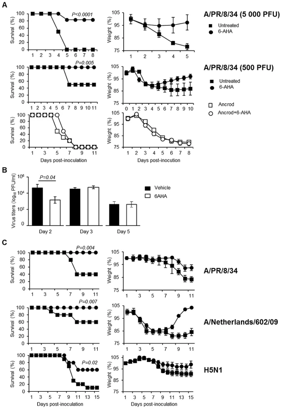 Effect of 6-aminohexanoic acid and/or Ancrod treatment on the course of IAV infection.