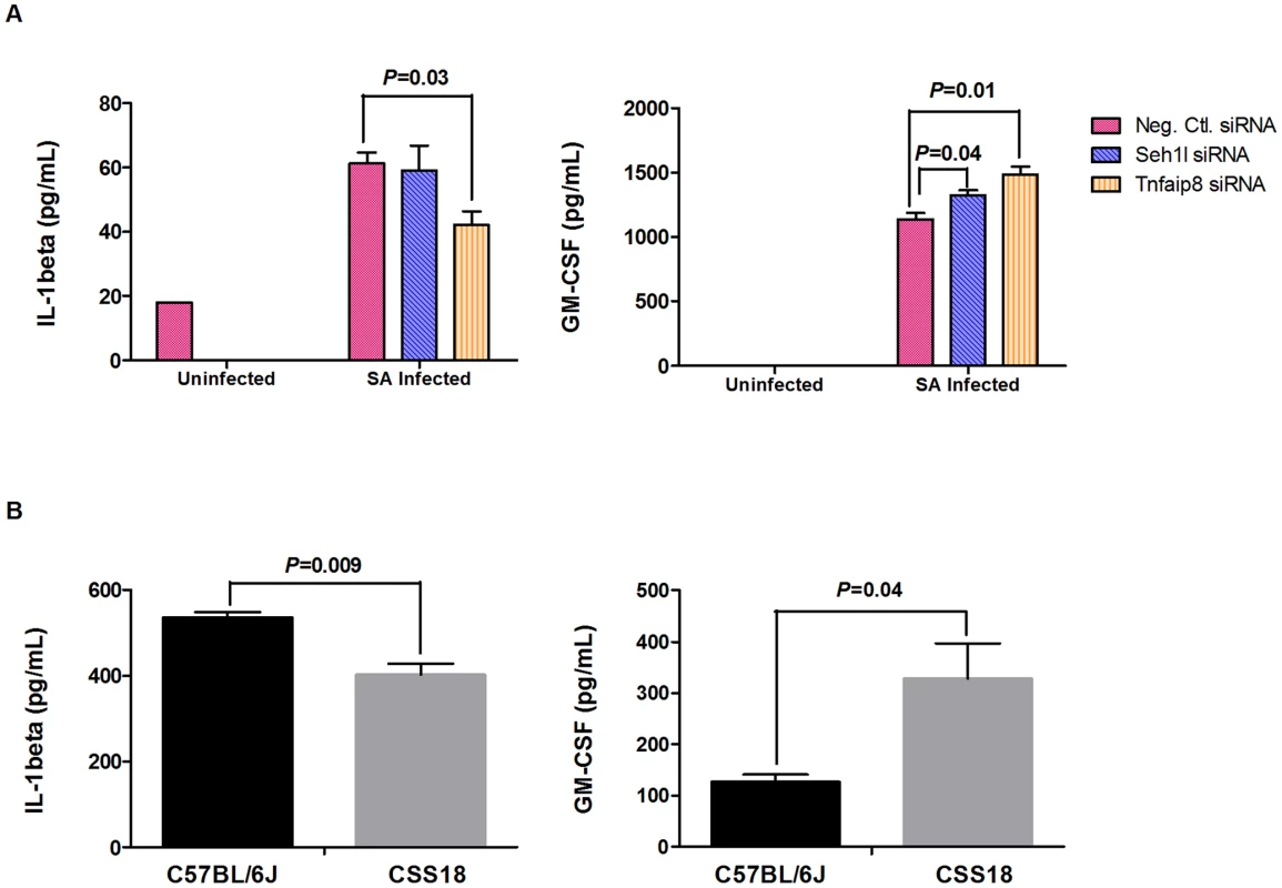 RAW264.7 cells transfected with <i>Tnfaip8</i> and <i>Seh1l</i> siRNA and peritoneal macrophages from C57BL/6J and CSS18 exhibited significant and consistent patterns of change in the cytokine production (IL-1β and GM-CSF).