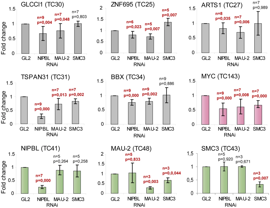NIPBL is important to maintain gene activity.
