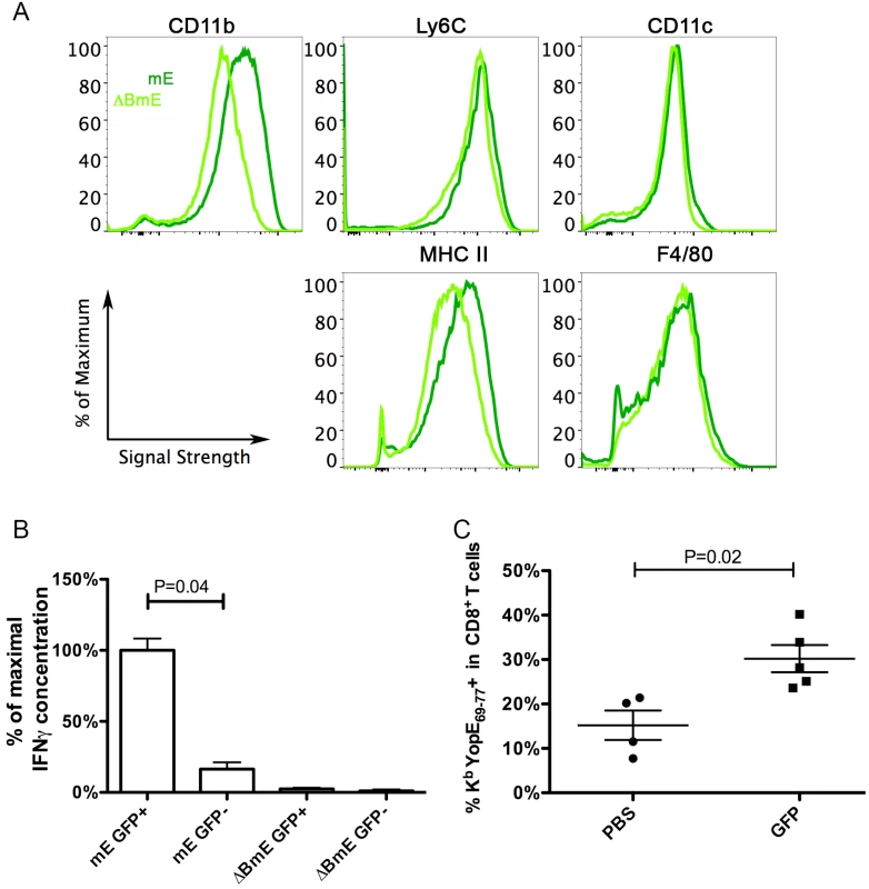 Phenotypic characterization of CCR2-expressing infDCs and their analysis by DEAD assay and adoptive transfer.