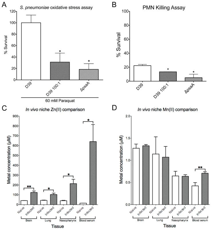 <i>In vitro</i> effects on bacterial survival and <i>in vivo</i> metal concentrations.