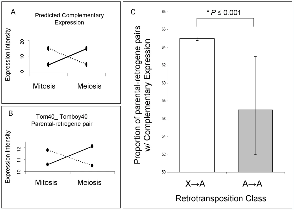 Parental gene and retrogene expression analysis.