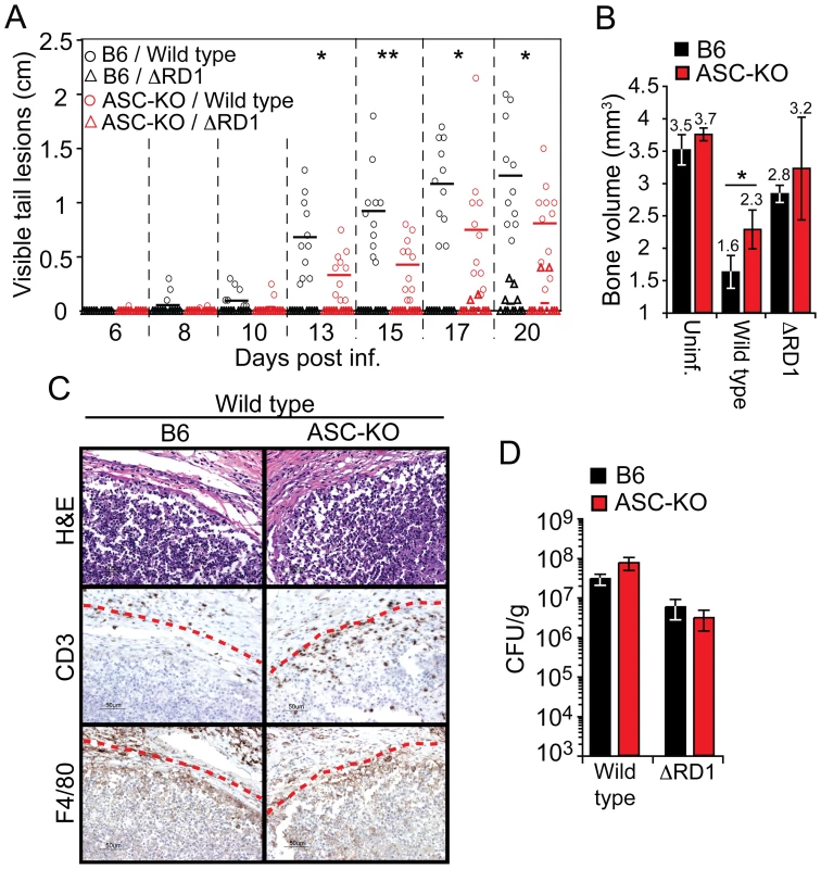 Activation of the inflammasome exacerbates inflammation without restricting bacterial growth <i>in vivo</i>.