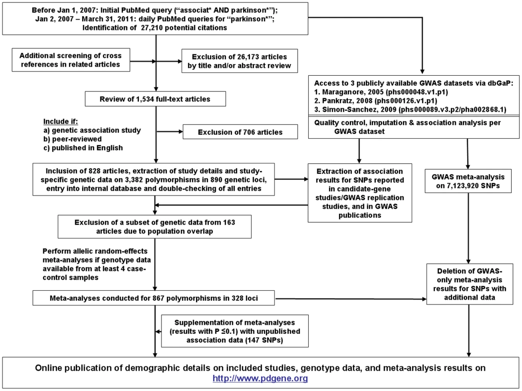 Flowchart of literature search, data extraction, and analysis strategies applied for PDGene.