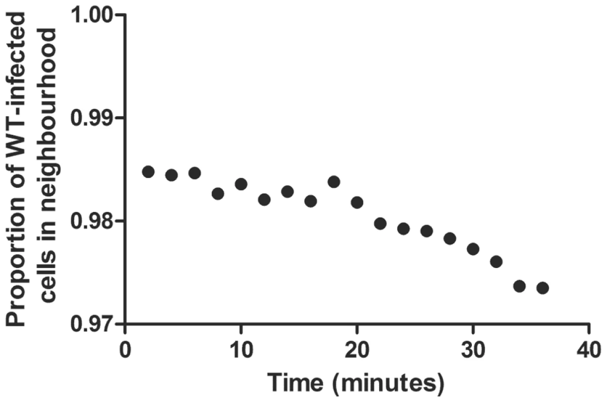 Infected cells in the neighbourhood of CD8+ T cells secreting non-lytic factors.