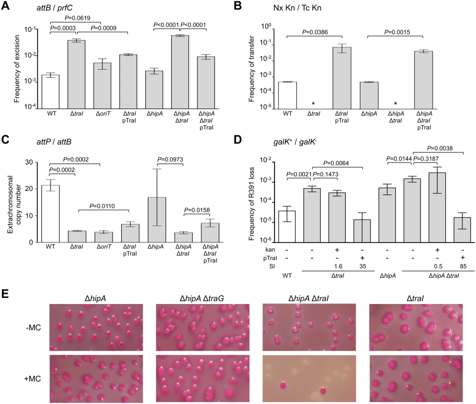 <i>traI</i> and <i>oriT</i> are key factors for R391 replication and stability.