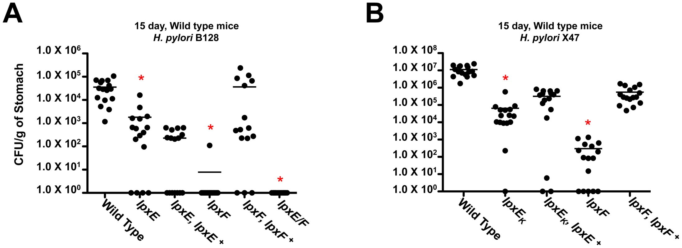 <i>In vivo</i> colonization of the <i>lpxE, lpxF</i> and <i>lpxE/F</i> mutants in strain B128 and X47 at day 15 using C57BL/6J mice.