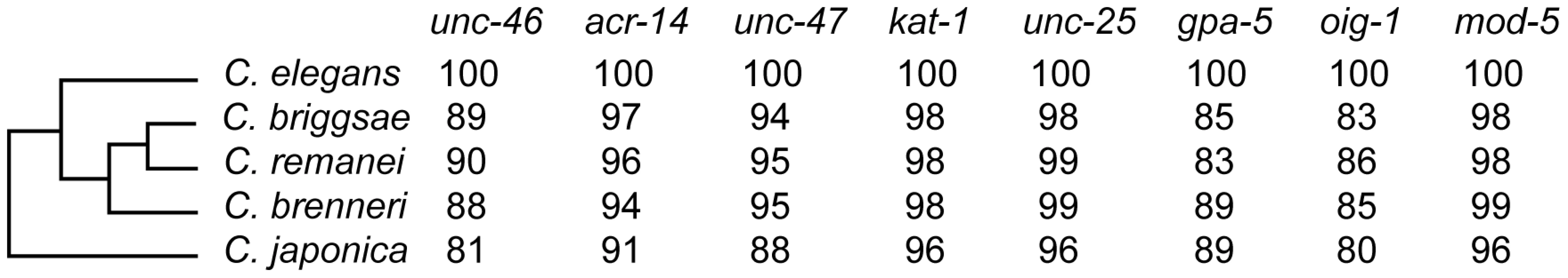 Species and genes included in this study.