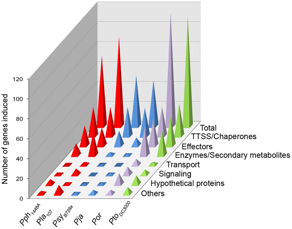 HrpL regulons across phylogenetically distinct strains vary in size and composition.