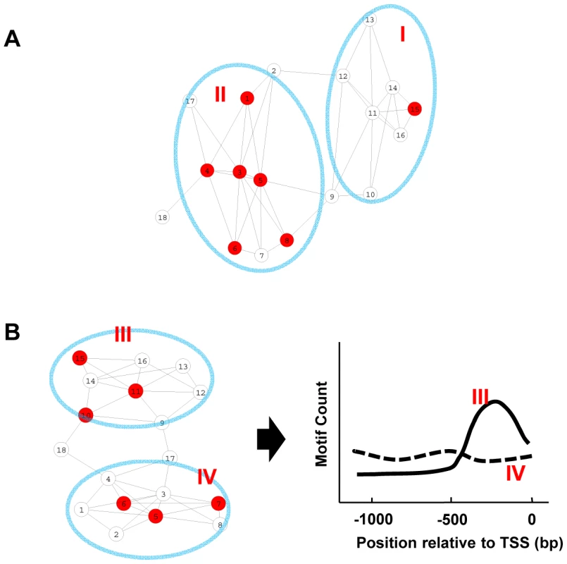 Motif enrichment and motif position bias analysis.