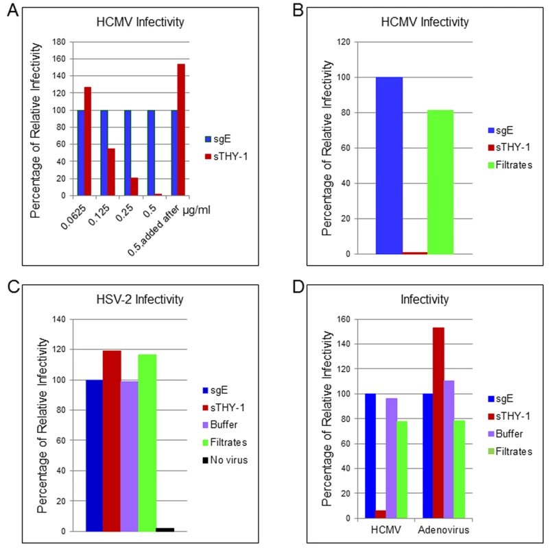 Soluble THY-1 protein blocks HCMV entry in a dose-dependent manner.