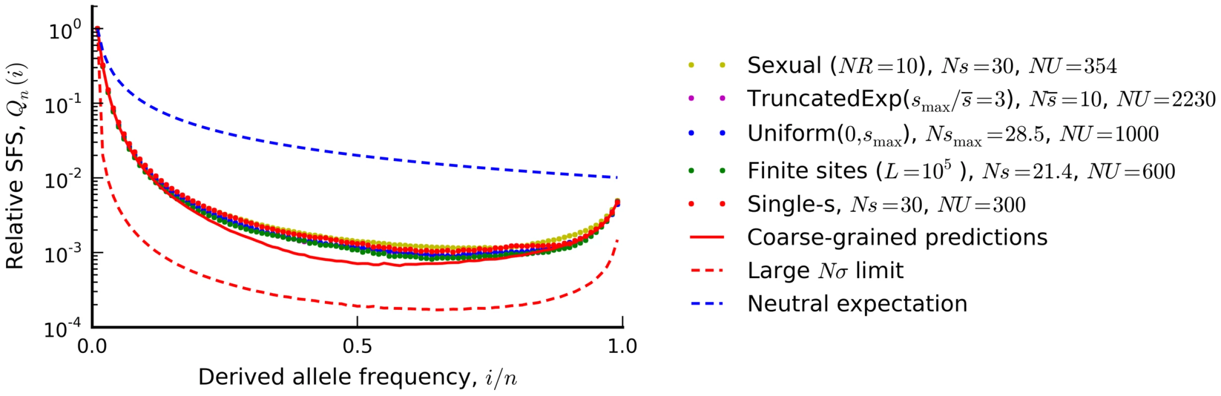 The silent site frequency spectrum from <em class="ref">Figure 4</em> (red dots) and forward-time simulations of three equivalent populations predicted from our coarse-grained theory.