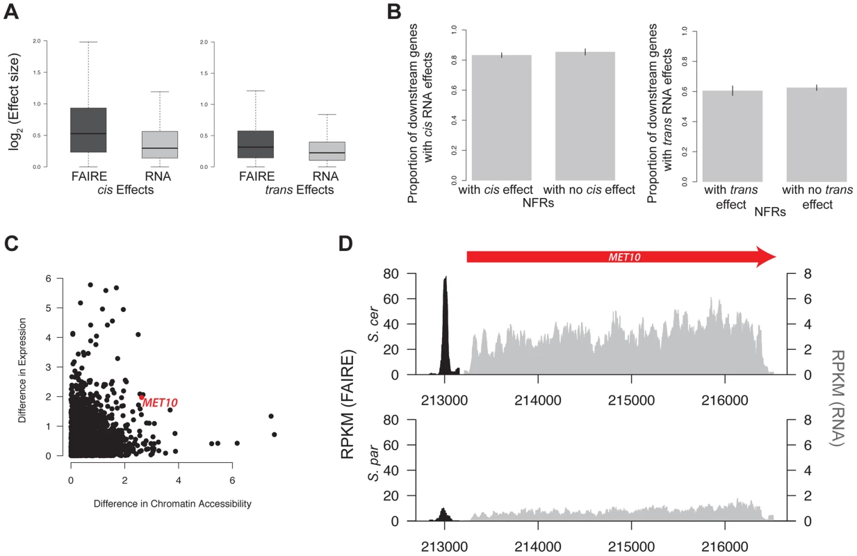 Gene expression and chromatin accessibility.