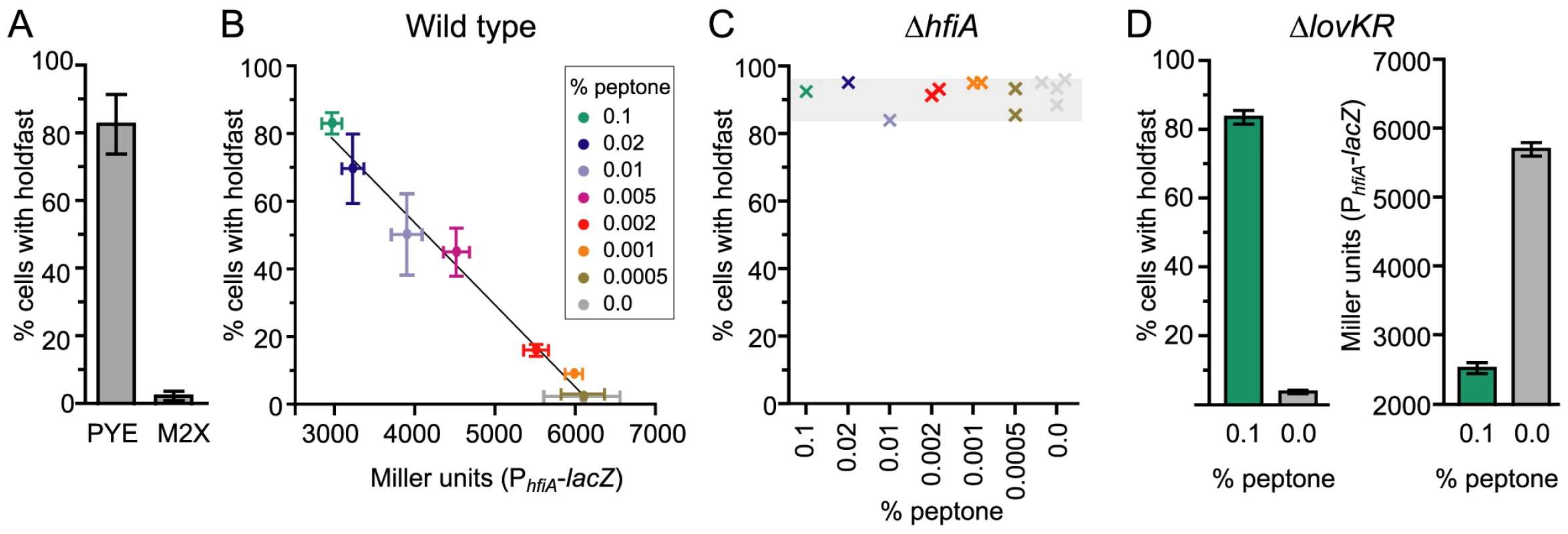 Nutrient environment affects <i>hfiA</i> transcription and the probability of holdfast development.