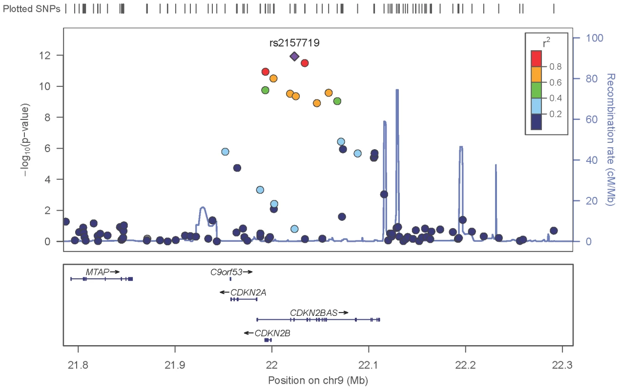 Meta-analysis results for SNPs associated with normal pressure glaucoma (NPG) (IOP <22 mmHg) located in the CDKN2BAS region on chromosome 9p21.