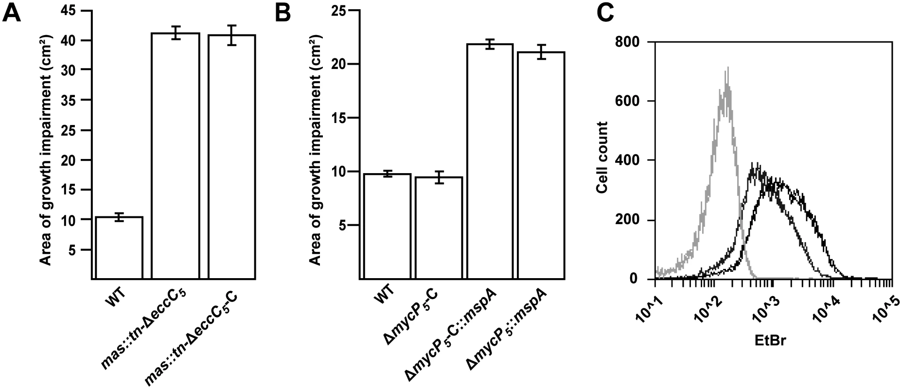 <i>mas</i> mutation or introduction of <i>mspA</i> lead to increased outer membrane permeability.