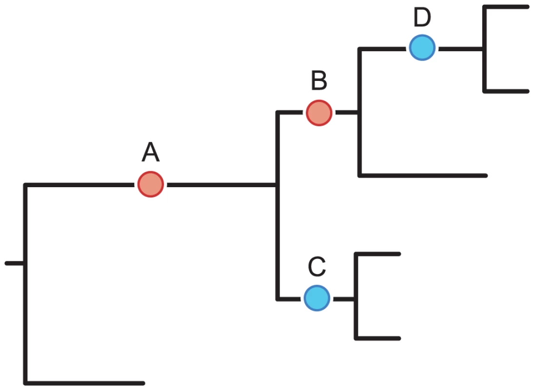 Detecting positive epistasis between mutations at two sites,  and .