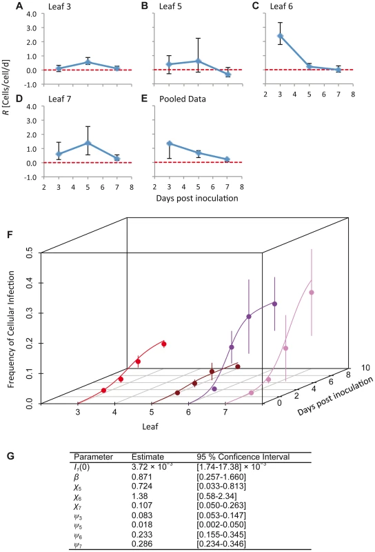 The estimated time-varying cellular contagion rate (<i>R</i>) and results for the model of within-host spread.