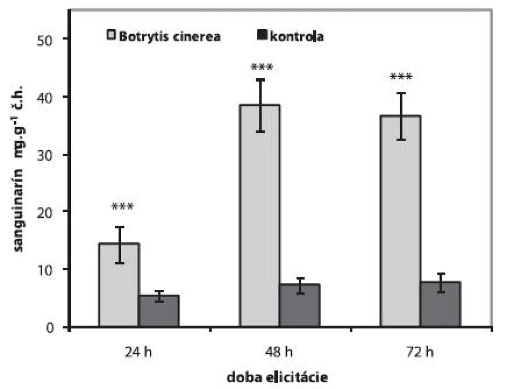 Obsah sanguinarínu v suspenzných kultúrach maku siateho po elicitácii 1 ml homogenátu Botrytis cinerea (n = 5,***p < 0,001)