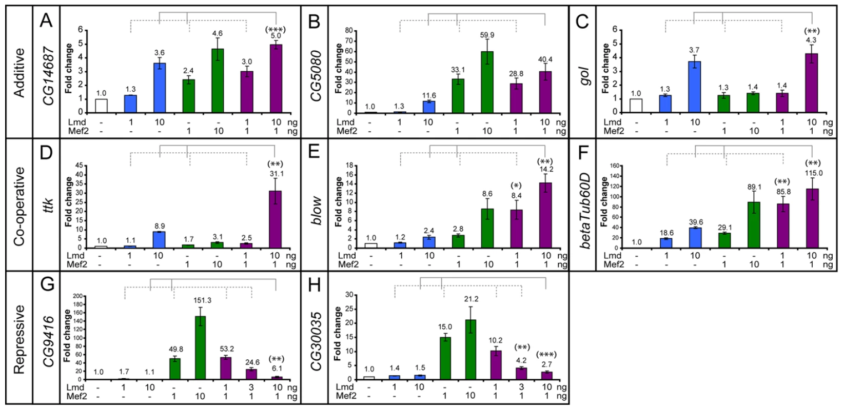 Different modes of co-regulation by Lmd and Mef2 <i>in vitro</i>.