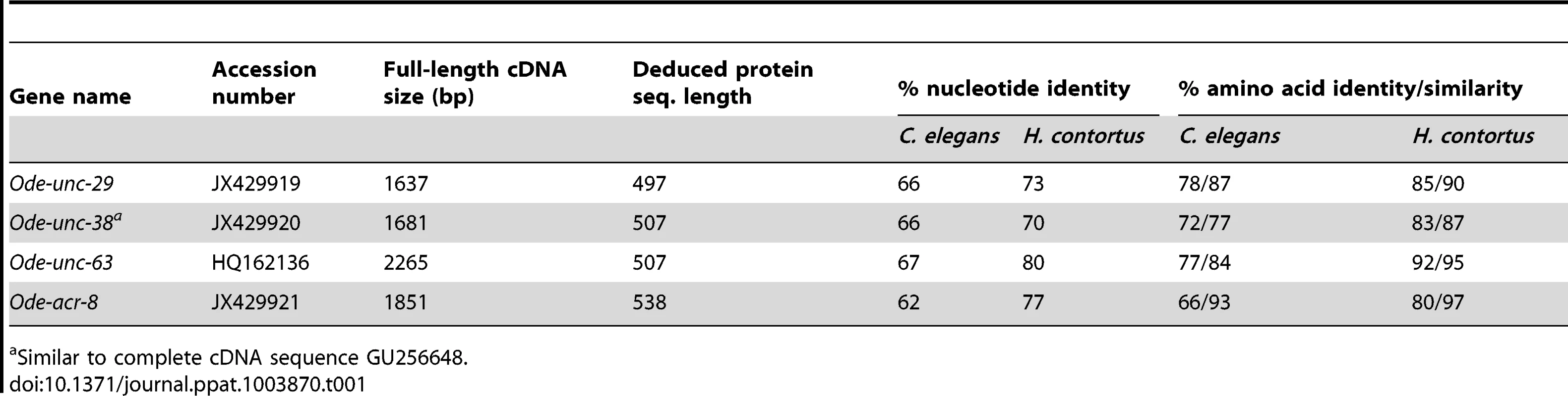 Comparison of <i>O. dentatum</i> AChR subunits with the homologs of <i>C. elegans</i> and <i>H. contortus</i>.