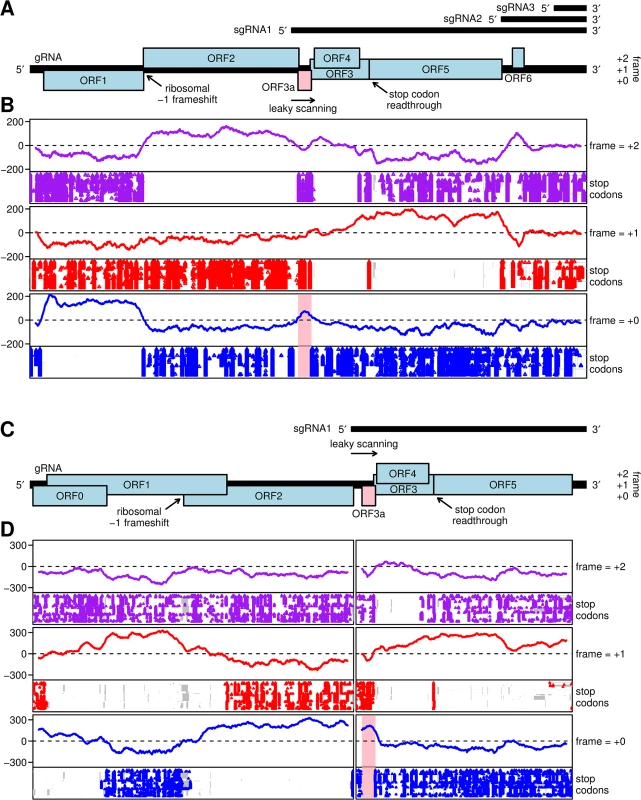 Coding potential analyses of barley yellow dwarf luteoviruses and poleroviruses.