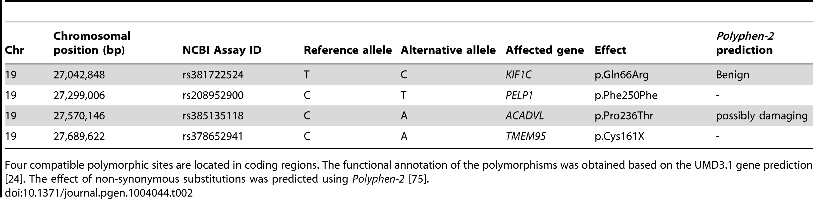 Coding variants compatible with recessive inheritance.