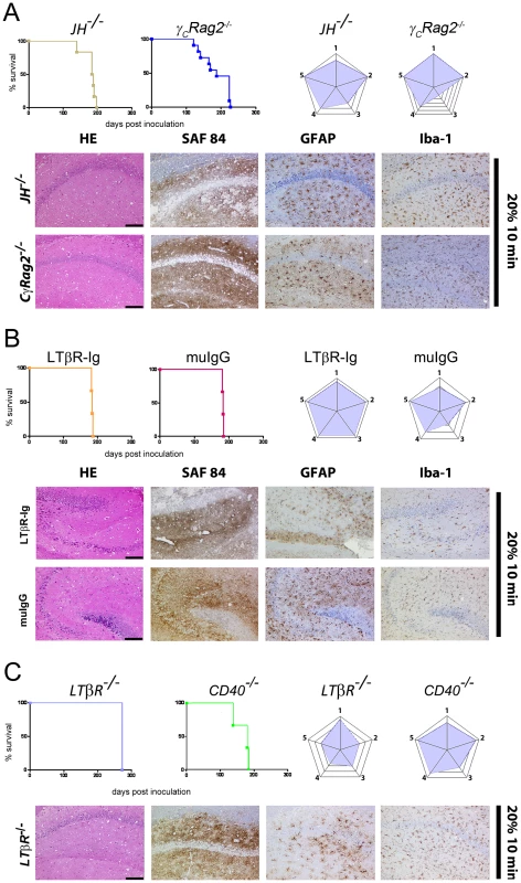 Prion transmission through aerosols in immunocompromised mice.