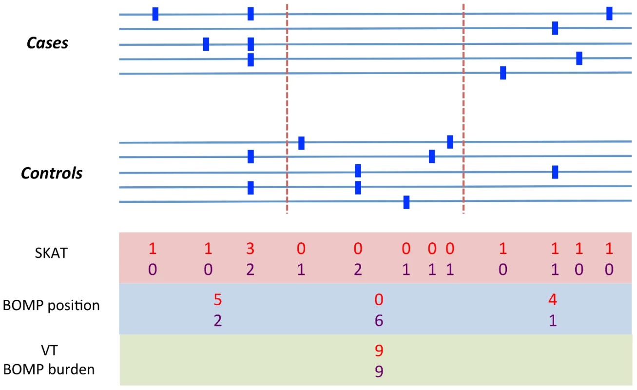Example variation pattern in which position distribution outperforms burden tests.