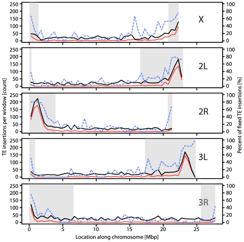 Distribution of all (black), fixed (red) and percentage of fixed (dashed blue) TE insertions in our natural population of <i>D. melanogaster</i>.