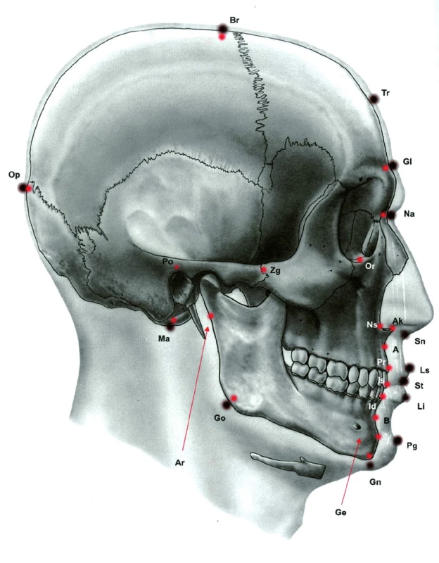Ukázka antropometrických bodů – bočná projekce lbi. Většina z nich se stala základem konstrukce kefalometrických analýz. (Převzato z knihy Klinická anatomie pro stomatology, Ivo Klepáček, Jiří Mazánek a kolektiv, Grada, Avicenum, 2001.) Br-bregma, Tr-trichion, Gl-glabella, Na-nasion, Momedioorbitale, Eu-Euryon, SuFr-sutura frontozygomatica, Ek-ektokonchion, Or-orbitale, Zg-zygion,Tg-tragion, Ns-nasospinale, Ma-mastoideale, Ak-akanthion, A-bod A, B-bod B, Pr-prosthion, Is-incisale superius, Id-infradentale, Pg-pogonion, Gn-gnathion, Go-gonion, Opopisthocranion, Po-porion,Ar-articulare, Ge-genion, Lilabrale inferius, Ls-labrale superius, Sto-stomion, Sn-subnasale.