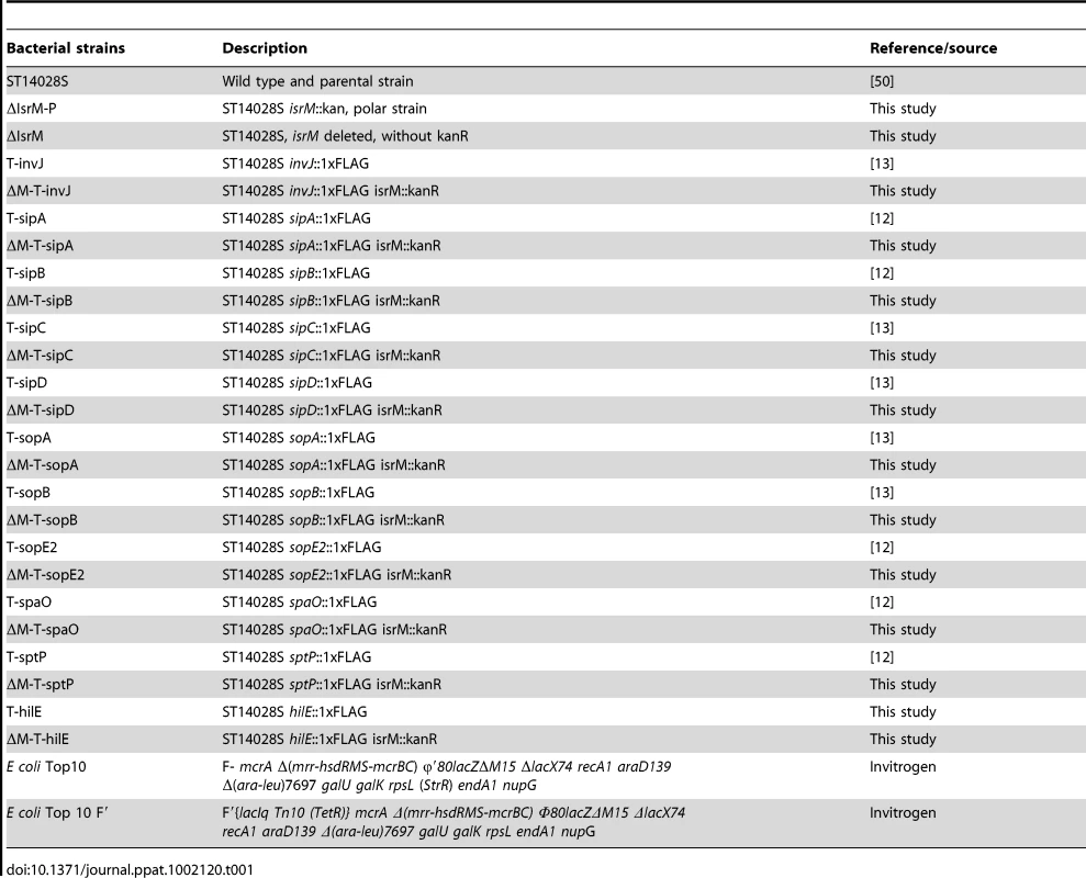 Bacterial strains used in this study.
