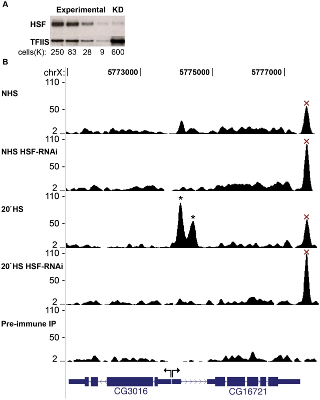 HSF depletion filters false positive peaks.