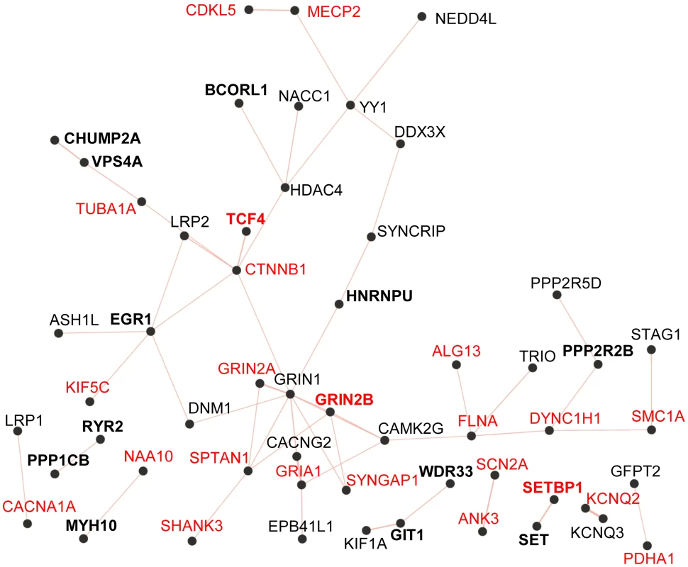 Physical protein-protein interaction network generated by GeneMANIA (<a href="http://www.GeneMANIA.org/">http://www.GeneMANIA.org/</a>; Gene Ontology molecular function based weighting).