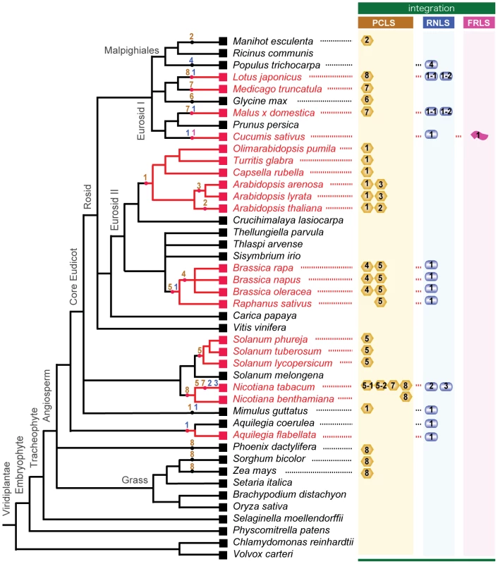 Horizontal gene transfer of genome sequences of non-retroviral RNA viruses into plant genomes.