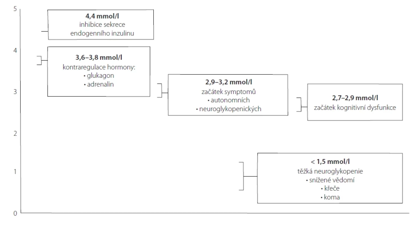 Hierarchie odpovědi na hypoglykemii (adaptováno podle [35]).</br>Fig. 1. Hierarchy of the response to hypoglycemia (according to [35]).