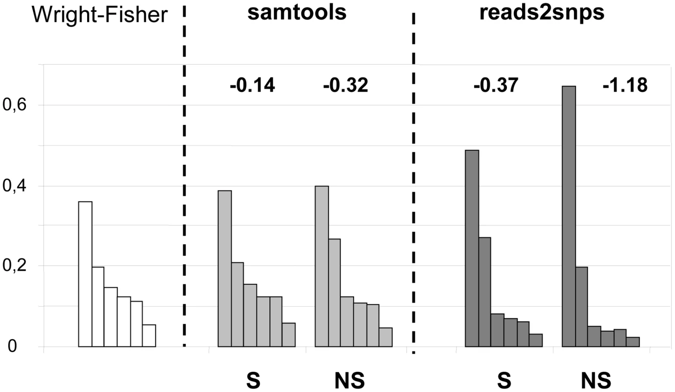 Synonymous and non-synonymous site-frequency spectra in the hare <i>Lepus granatensis</i>.