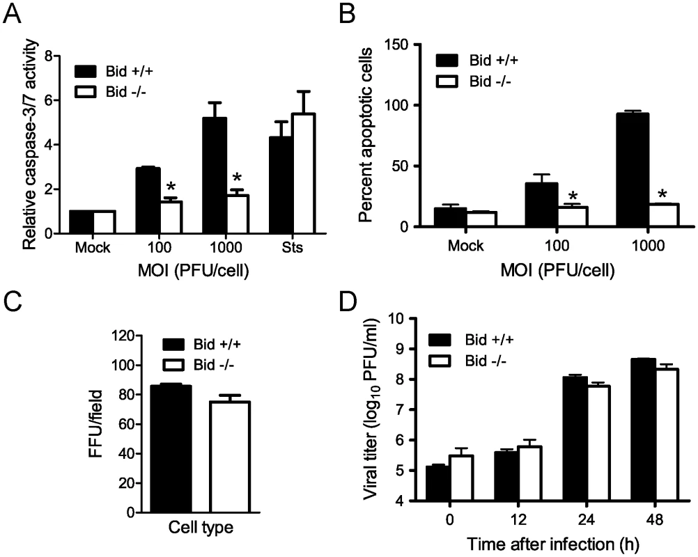 Bid is required for apoptosis induction following reovirus infection.
