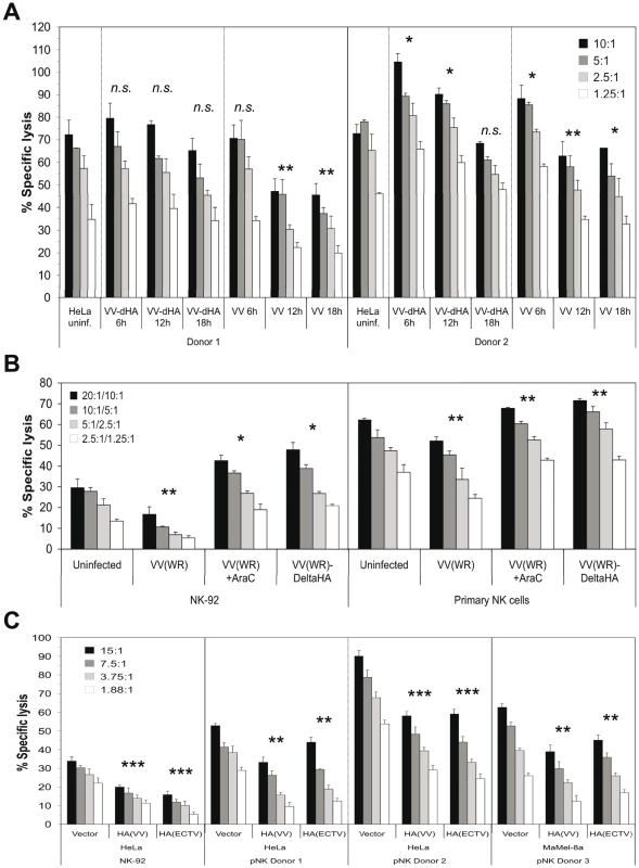 Reduced lysis susceptibility of target cells after infection with wild-type VV.
