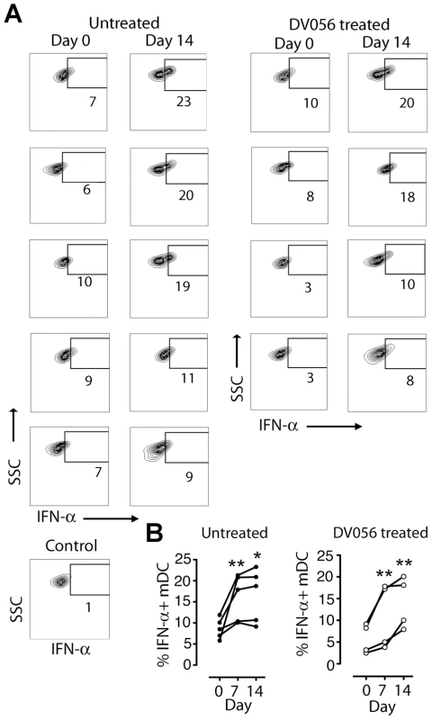 mDC gain the capacity to secrete IFN-α upon virus stimulation following SIV infection.
