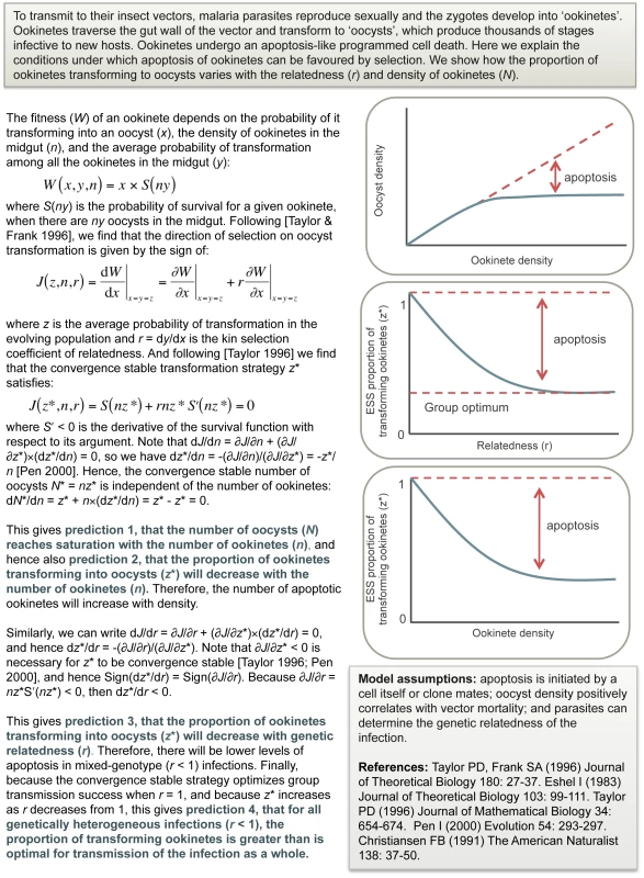 Evolutionary theory for altruistic suicide.