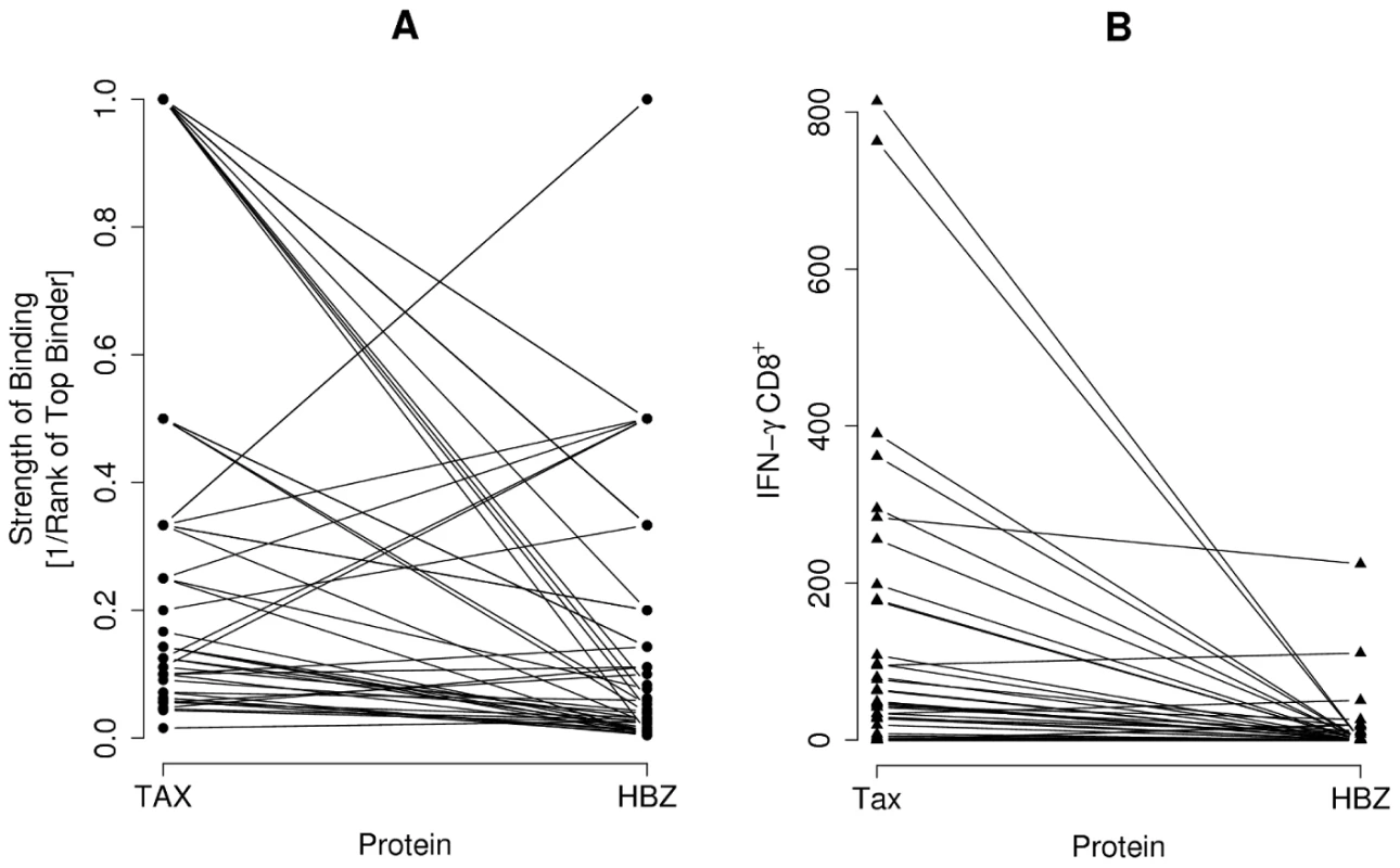 The comparative immunogenicity of HBZ and Tax.