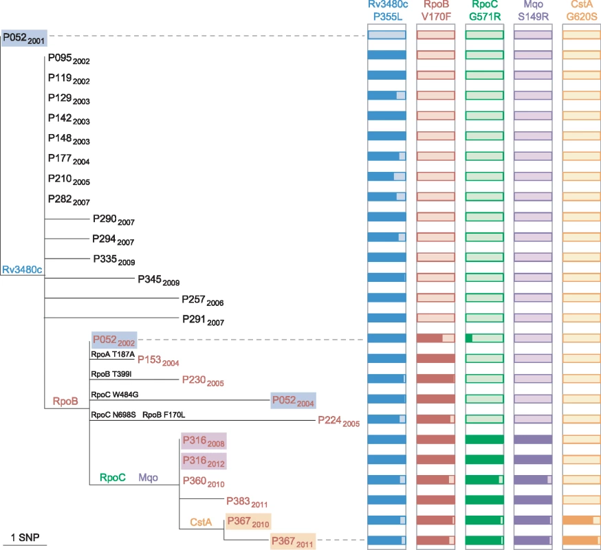 Allele heterogeneity associated with clustered MDR cases.