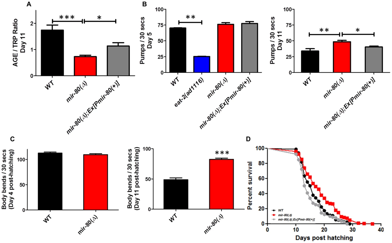 <i>mir-80</i>(Δ) exhibits multiple features of healthy aging.