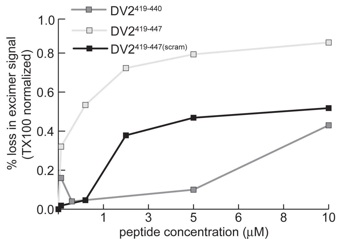 Stem peptides interact with the dengue virus membrane.