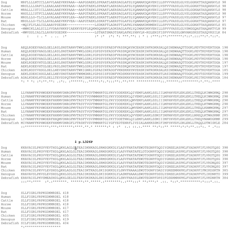 Multispecies alignment of the SERPINH1 protein sequence.