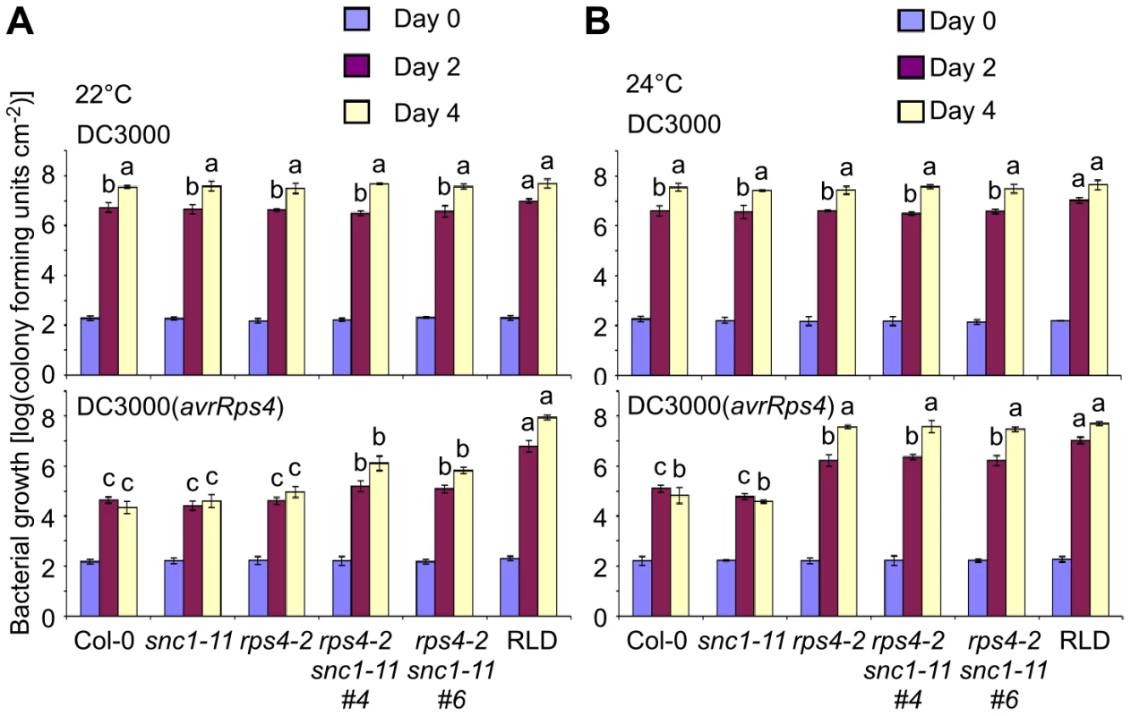 <i>RPS4</i> and <i>SNC1</i> contribute redundantly to AvrRps4-triggered resistance.