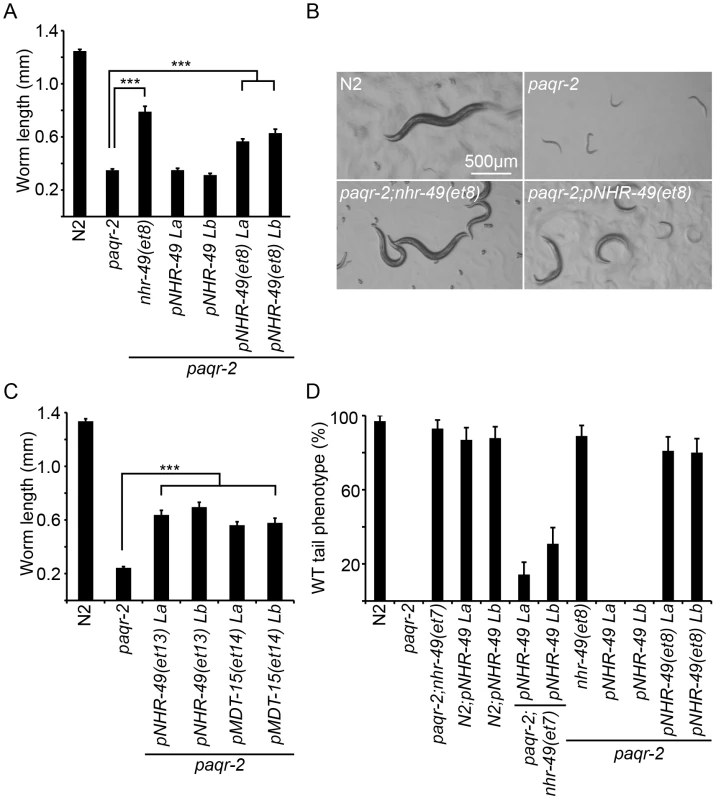 The <i>paqr-2</i> suppressor mutations in <i>nhr-49</i> and <i>mdt-15</i> are <i>gof</i> alleles.